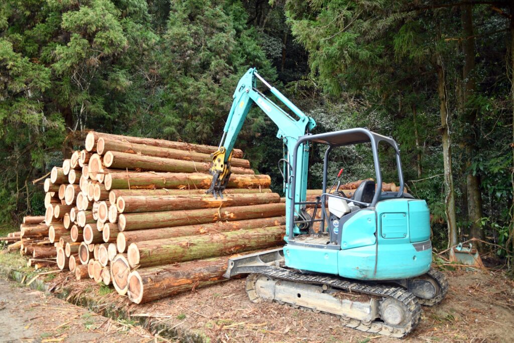 林業体験で森林の国産木材（間伐材）の作業を見学するイメージ画像